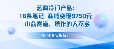蓝海项目：16条笔记私域变现9750米小众赛道操作的人不多-优创项目网