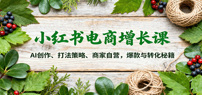 小红书电商增长课：AI创作、打法策略、商家自营，爆款与转化秘籍-优创项目网