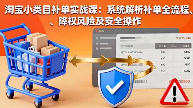 淘宝小类目补单实战课：系统解析补单全流程、降权风险及安全操作-优创项目网