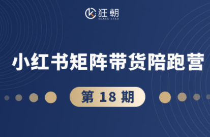 盗坤·抖音小红书视频号短视频带货与直播变现(11-18期)-优创项目网