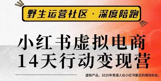 小红书虚拟电商14天变现训练营3.0，​虚拟产品，2025年普通人在小红书最后的搞钱机会-优创项目网