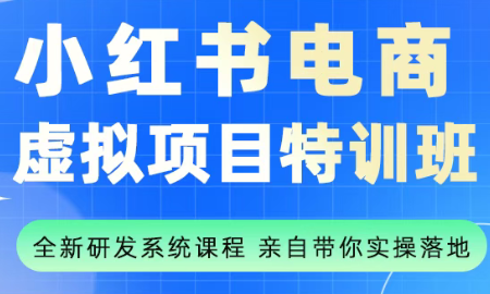 陆明明·小红书虚拟项目特训班(更新9月)-优创项目网