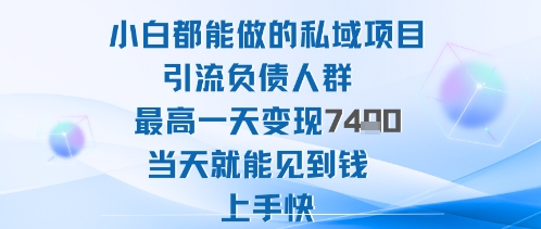 2025年小白都能做的私域项目引流负债人群最高一天变现1k+高变现难度低当天就能见到钱上手快-优创项目网