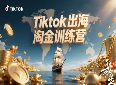 Tiktok出海淘金训练营，跨境电商TK实战变现-优创项目网