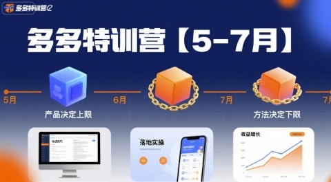 多多特训营，产品决定上限，方法决定下限，各种玩法技巧落地实操(更新)-优创项目网