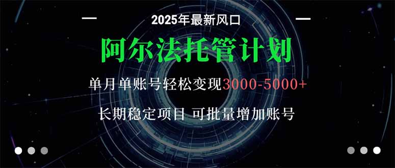 阿尔法托管计划 单账号月入3000-5000，长期稳定项目，新手小白轻松上手。-优创项目网