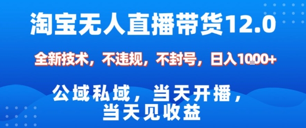 淘宝无人直播12.0，公域私域技术，不封号，不违规布局双十一流量风口，日入1k(独家技术)【揭秘】-优创项目网