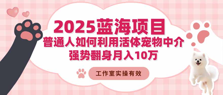 2025蓝海项目：普通人如何利用活体宠物中介，强势翻身月入10万-优创项目网