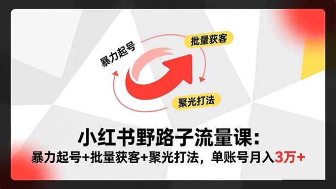 小红书野路子流量课：暴力起号+批量获客+聚光打法，单账号月入3万+-优创项目网