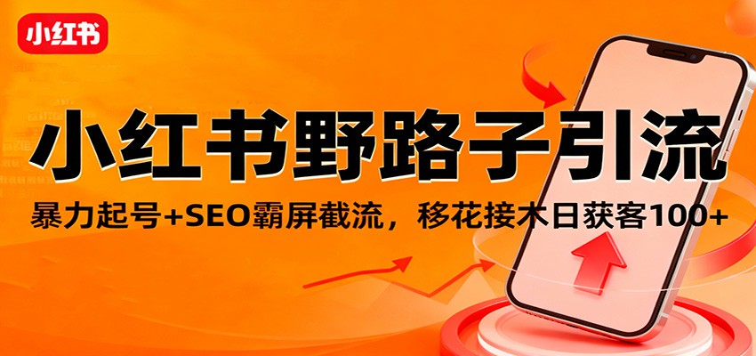 小红书野路子引流，暴力起号+SEO霸屏截流，移花接木日获客100+-优创项目网