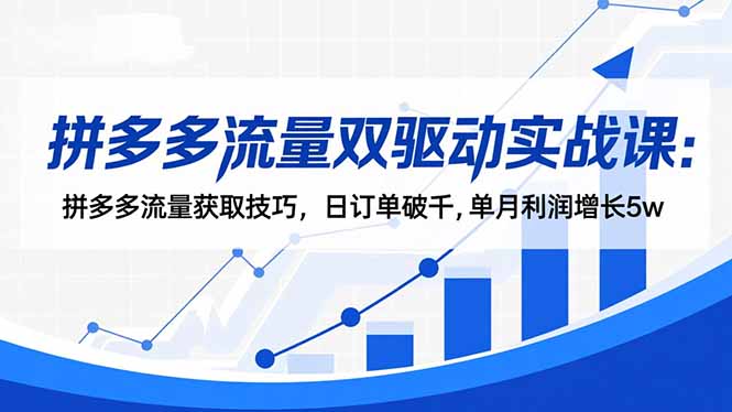 拼多多流量双驱动实战课：拼多多流量获取技巧，日订单破千,单月利润增长5w-优创项目网