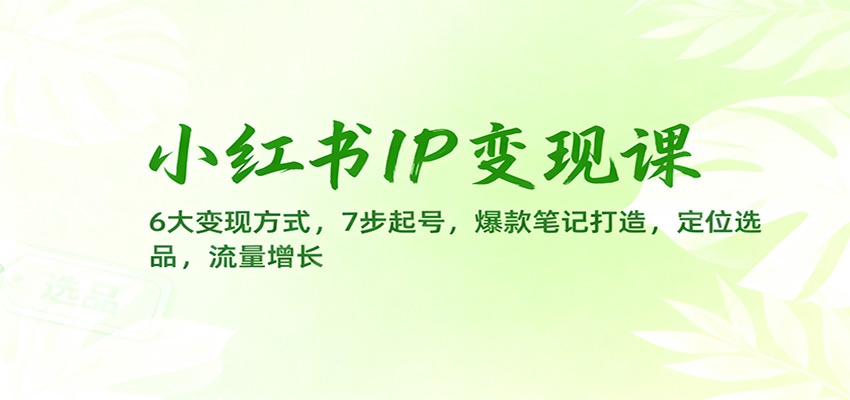 小红书IP变现课：6大变现方式，7步起号，爆款笔记打造，定位选品，流量增长-优创项目网