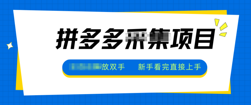 拼多多电商采集，一小时50+，操作简单，零投资-优创项目网