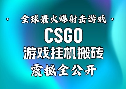 【年底大揭秘】基于全球最火爆的射击CSGO游戏挂G搬砖，日入5张+，震撼公开-优创项目网