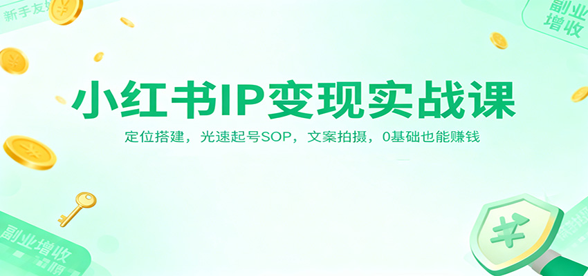 小红书IP变现实战课：定位搭建，光速起号SOP，文案拍摄，0基础也能赚钱-优创项目网