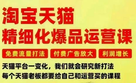 淘宝天猫精细化爆品运营课，免费流量打法-付费广告放大-利润增长-三大核心痛点，一次全部解决-优创项目网