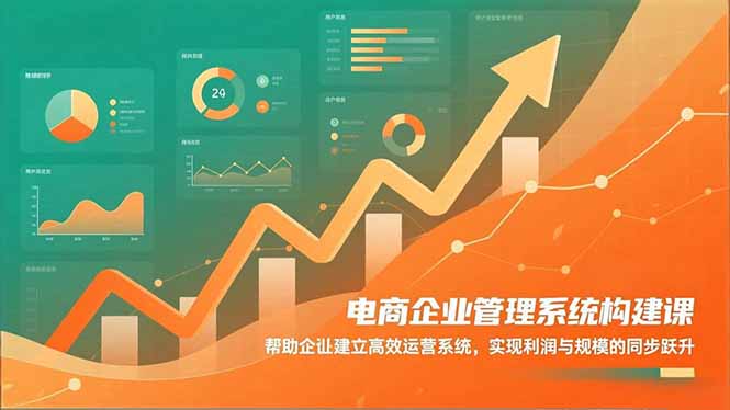 电商企业管理系统构建课：帮助企业建立高效运营系统，实现利润与规模的同步跃升-优创项目网