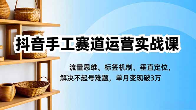 抖音手工赛道运营实战课，流量思维、标签机制、垂直定位，解决不起号难题，单月变现破3万-优创项目网