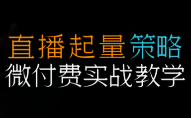 半野老师·直播带货起量与微付费必学课视频号-优创项目网