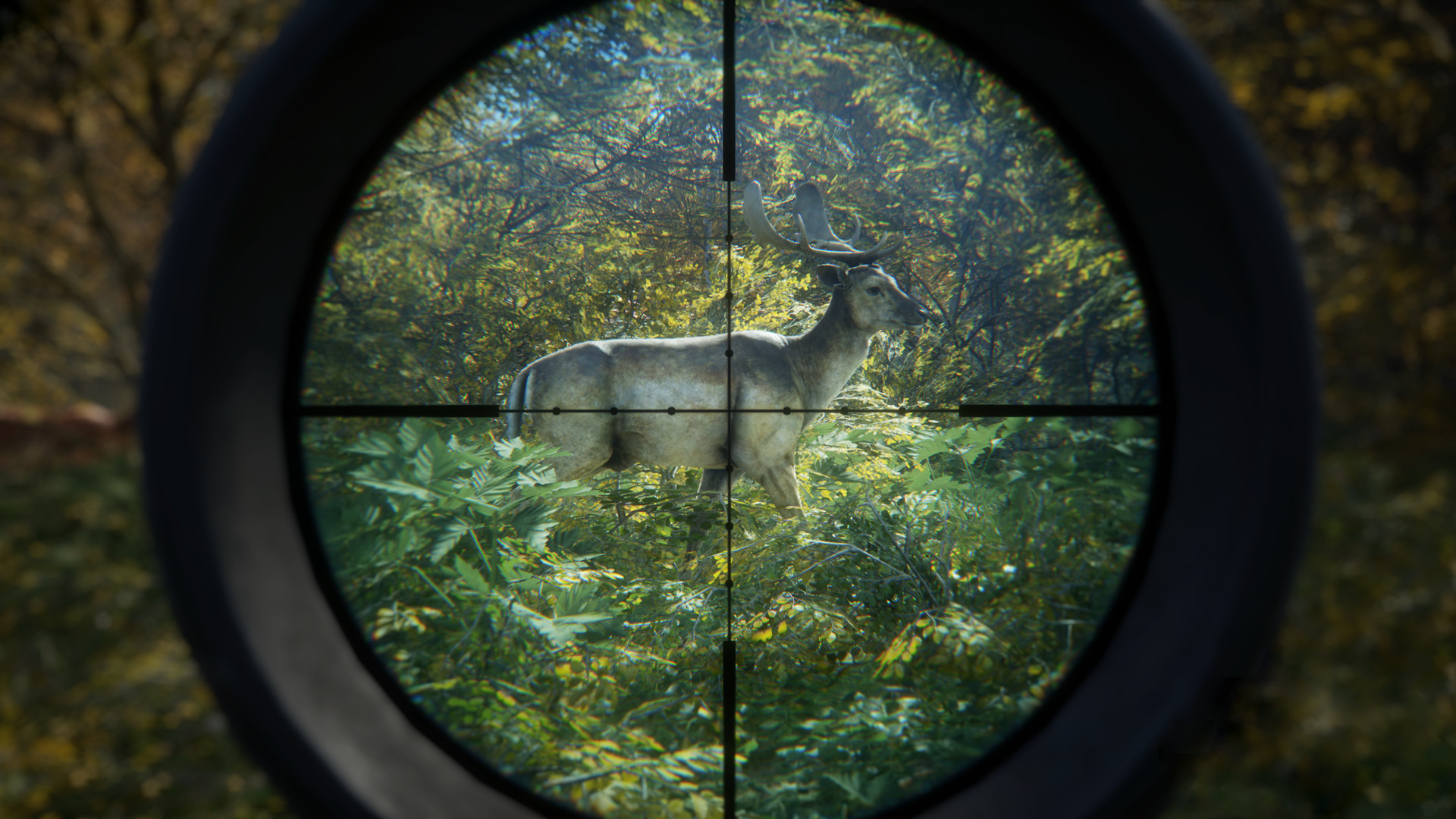 《猎人：荒野的召唤/theHunter: Call of the Wild》PC中文版下载-含v3101875-优创项目网