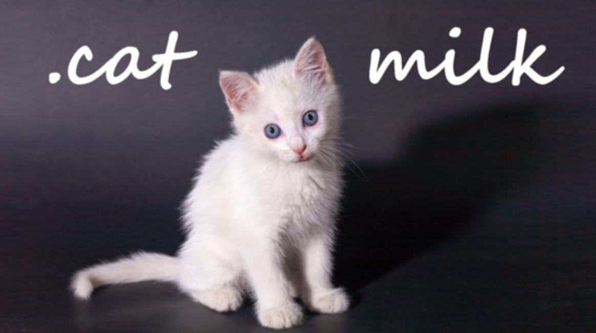 《小奶猫 .cat Milk》Switch英文版NSP下载-优创项目网