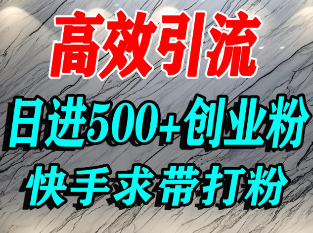 怎么打创业粉？快手求带视角精准引流创业粉，宝妈、学生群体日进500+精准流量-优创项目网