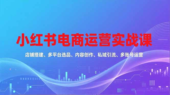 小红书电商运营实战课，店铺搭建、多平台选品、内容创作、私域引流、多账号运营等玩法-优创项目网