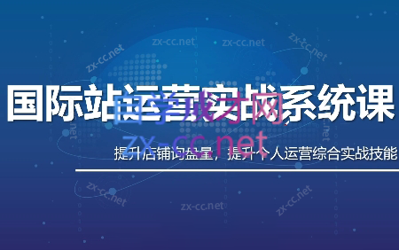 白老师·国际站运营实战系统(高质量询盘增长课)(部分更新)-优创项目网