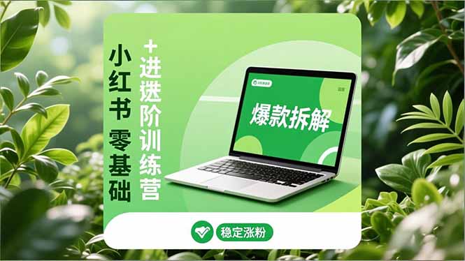 小红书零基础+高阶训练营：安全养号、爆款拆解、长效运营，实现稳定涨粉与变现-优创项目网