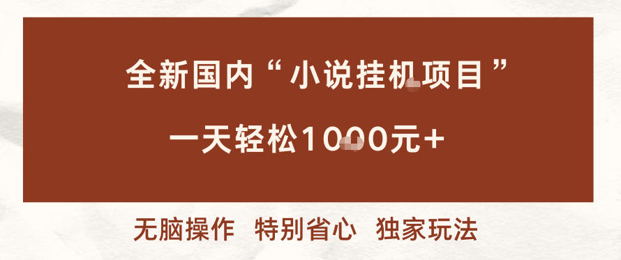 全新国内小说挂G项目，多窗口无脑跑，一天轻松1k+，特别省心【揭秘】-优创项目网