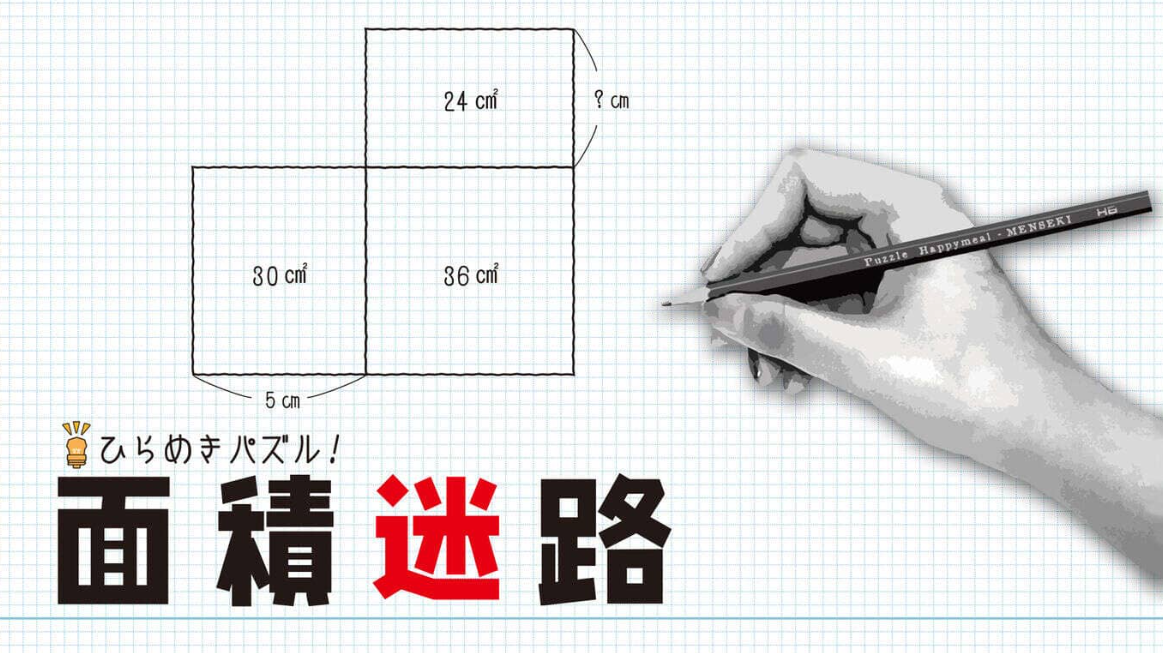 《闪烁的拼图 面积迷宫 MENSEKI Area maze puzzles》Switch英日文版NSZ下载-优创项目网