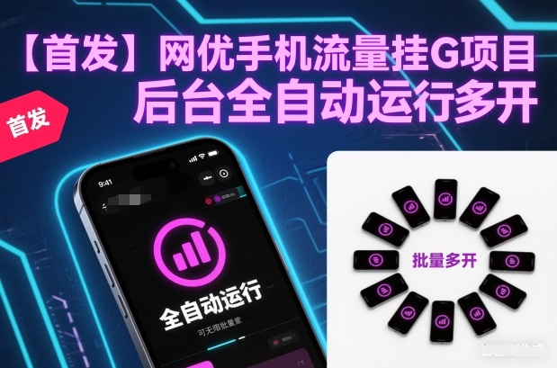 【首发】网优手机流量挂G项目，后台全自动运行，可无限批量多开【揭秘】-优创项目网