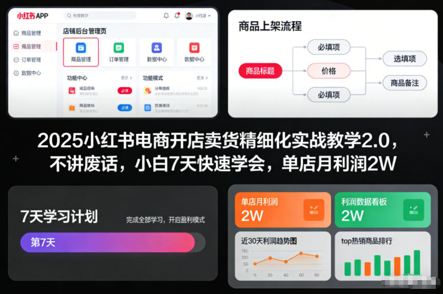 2025小红书电商开店卖货精细化实战教学2.0，不讲废话，小白7天快速学会，单店月利润2W-优创项目网