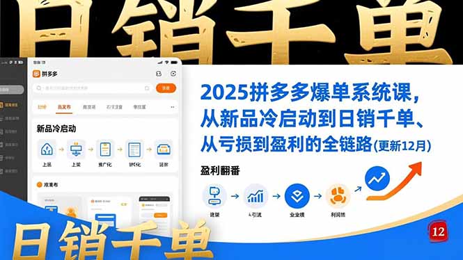 2025拼多多爆单系统课，从新品冷启动到日销千单、从亏损到盈利的全链路(更新12月-优创项目网