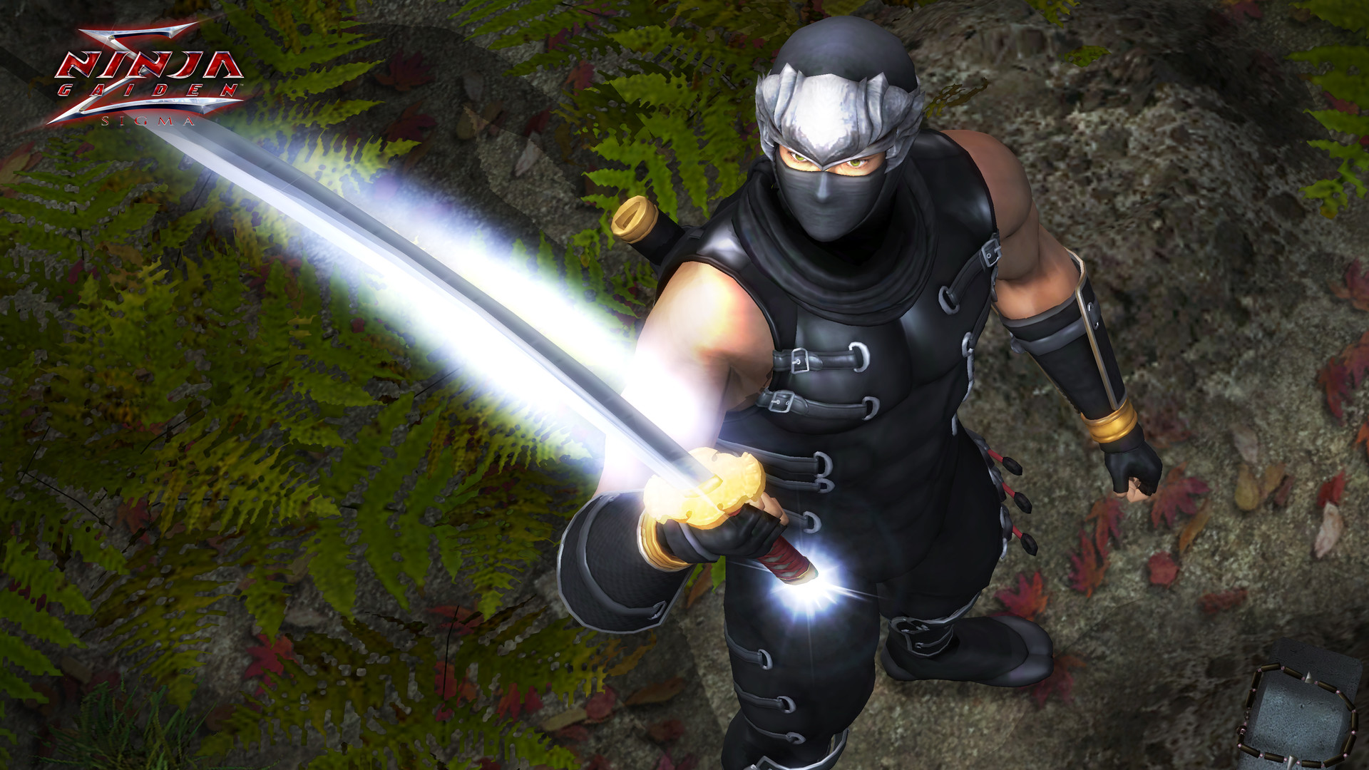 《忍者龙剑传：大师合集/NINJA GAIDEN: Master Collection》PC中文版下载-含v1.0.0.3-优创项目网