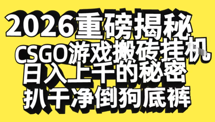 2026开年重磅解密，CSGO游戏搬砖挂G日入1k+的秘密，把倒狗的底裤扒干【揭秘】-优创项目网