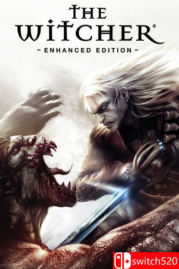 《巫师加强版（The Witcher: Enhanced Edition）》官方中文 v1.5 [繁体/英文]-优创项目网
