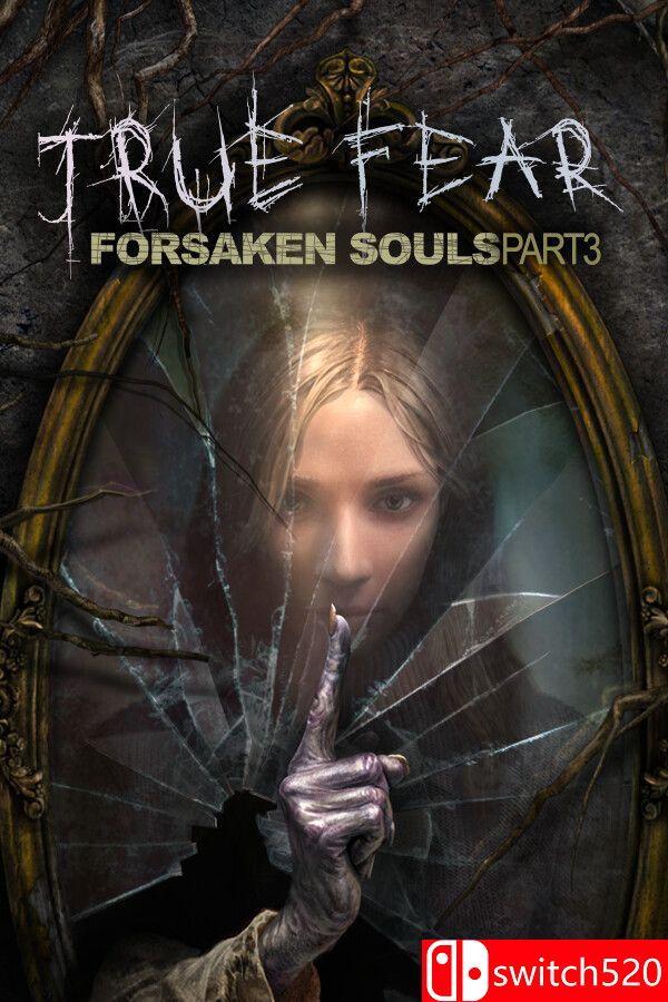 《真实恐惧：被遗弃的灵魂3（True Fear: Forsaken Souls P3）》v1.0.14 [中文/英文]-优创项目网