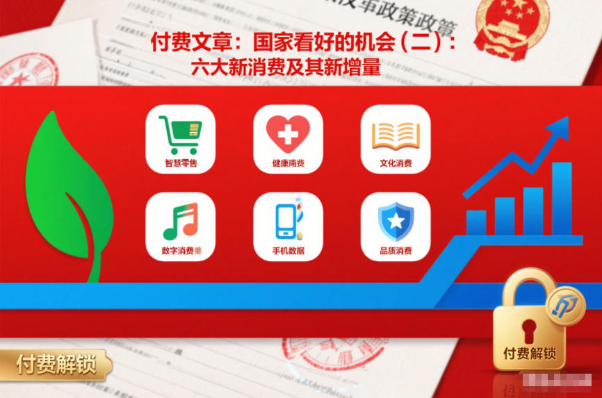 付费文章：国家看好的机会(二)：六大新消费及其新增量-优创项目网