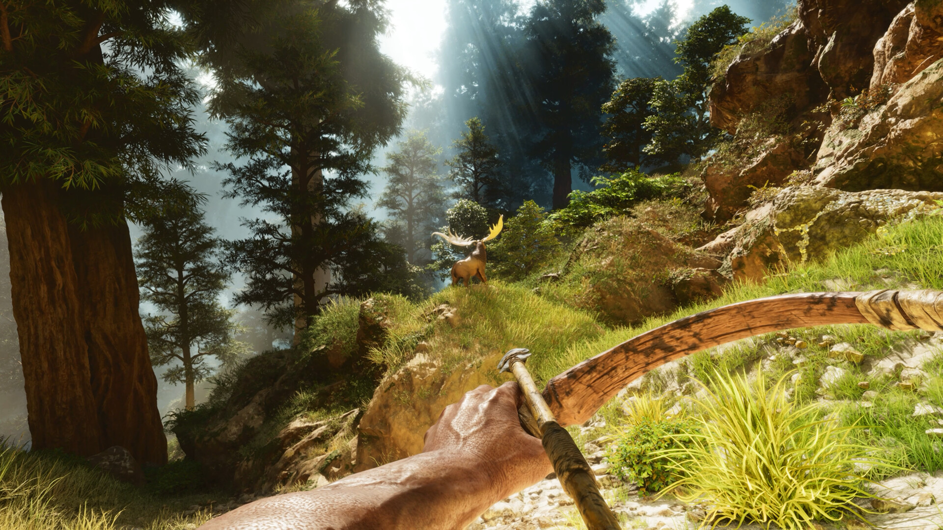PC游戏《方舟: 生存飞升/ARK: Survival Ascended》中文v77.54下载-优创项目网