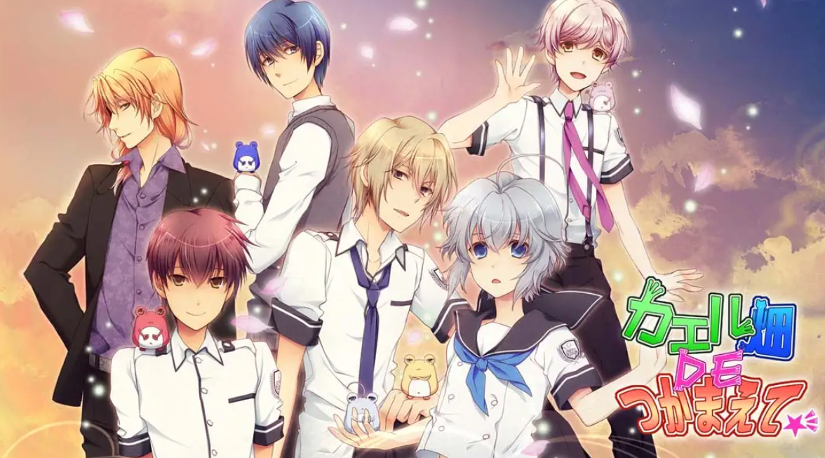 《蛙畑奇事 カエル畑DEつかまえて 乙女》Switch日文版XCI下载 – 含1.0.0补丁-优创项目网