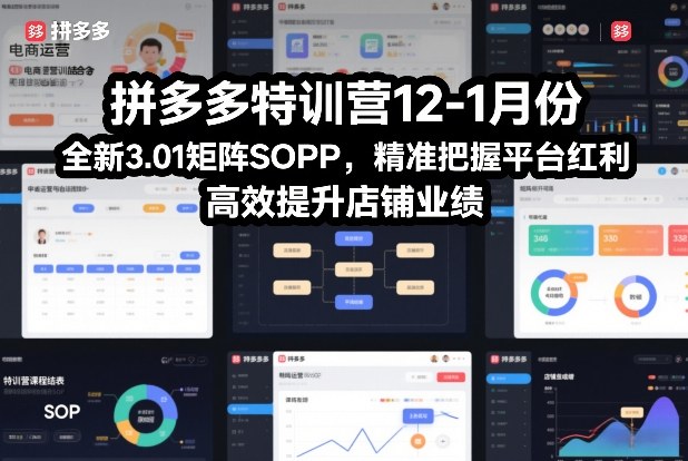 拼多多特训营12-1月份，全新3.01矩阵Sop，精准把握平台红利，高效提升店铺业绩-优创项目网