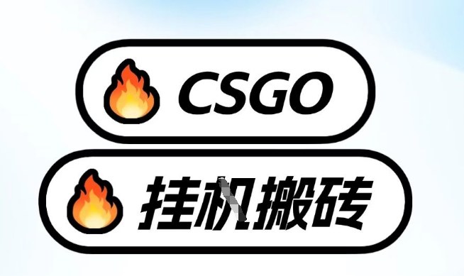 真全网独家CSGO挂G，最新玩法,单日捡漏1K+，不用电脑，不用打游戏【揭秘】-优创项目网