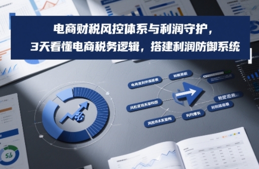 电商财税风控体系与利润守护，3天看懂电商税务逻辑，搭建利润防御系统-优创项目网