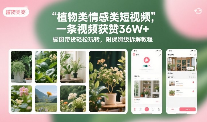 植物类情感类短视频，一条视频获赞36W+，橱窗带货轻松玩转，附保姆级拆解教程-优创项目网