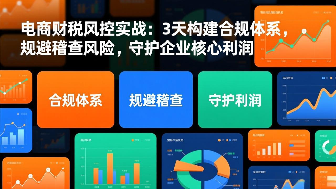 电商财税风控实战：3天构建合规体系，规避稽查风险，守护企业核心利润-优创项目网