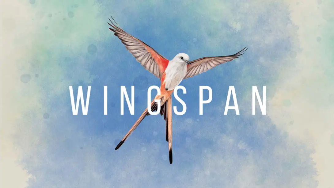 【美版】展翅翱翔 Wingspan 中文-优创项目网