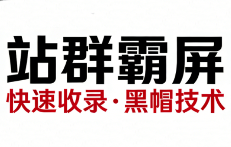SEO野路子实战全集：快速收录、站群霸屏、黑帽技术(更新)-优创项目网