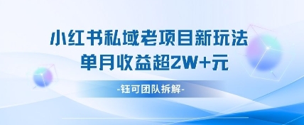 小红书私域项目新玩法，单月变现过W+-优创项目网