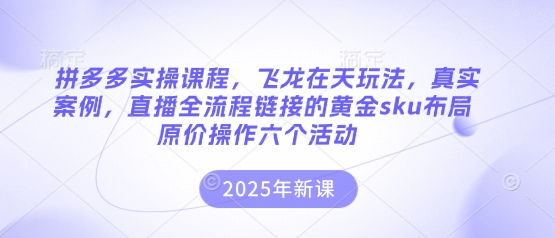 拼多多实操课程，飞龙在天玩法，真实案例，直播全流程链接的黄金sku布局原价操作六个活动-优创项目网